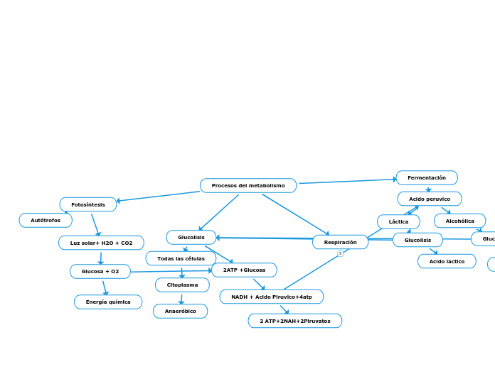 Procesos Del Metabolismo Mind Map 1570